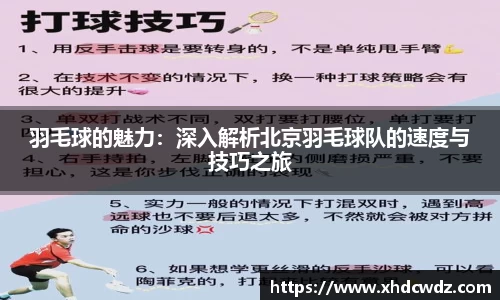 羽毛球的魅力：深入解析北京羽毛球队的速度与技巧之旅
