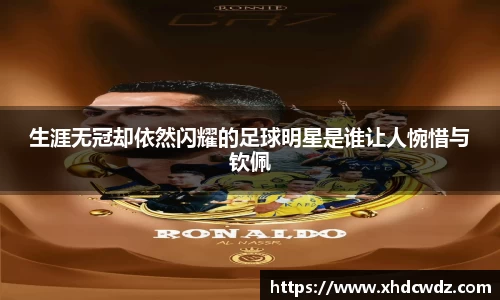 生涯无冠却依然闪耀的足球明星是谁让人惋惜与钦佩